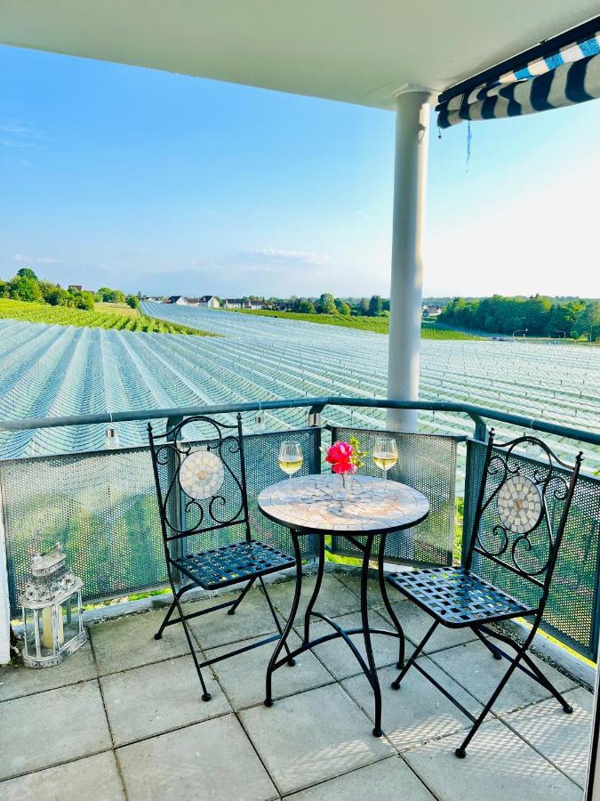 Panorama Domizil Ravensburg Mit Alpenblick Balkon Daire Dış mekan fotoğraf